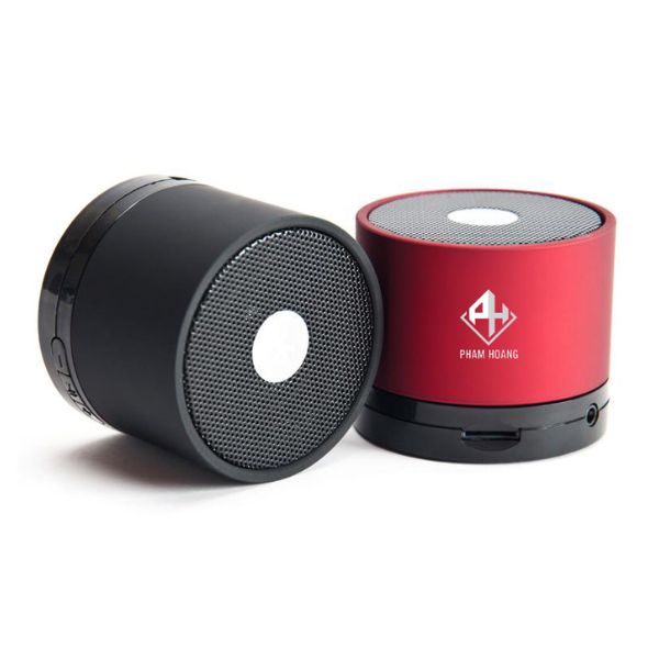 Loa bluetooth in logo