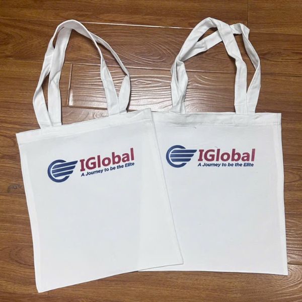 Túi vải canvas in logo